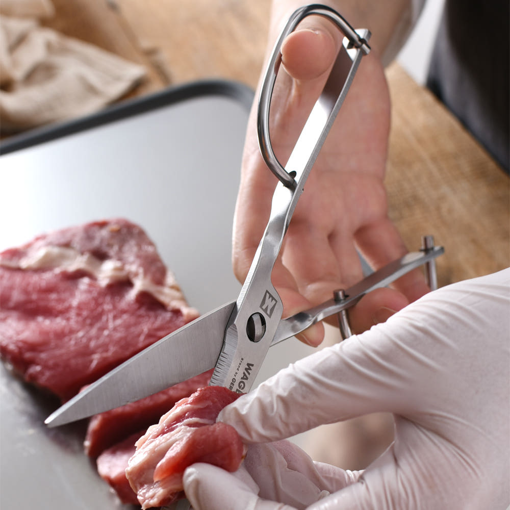 바겐슈타인 바겐아인스 가위_WAGENSTEIN) WAGENEINS SCISSORS